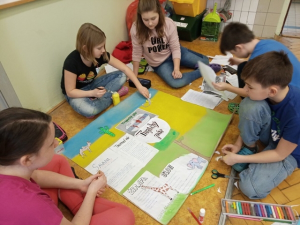 Podnebné pásy
