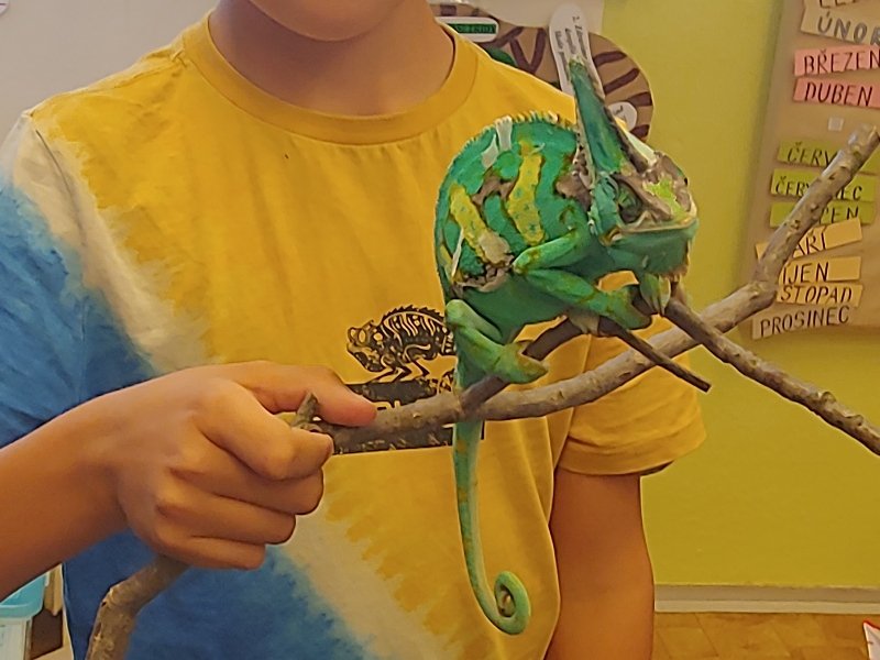 Zvířátkový den ve 3. B