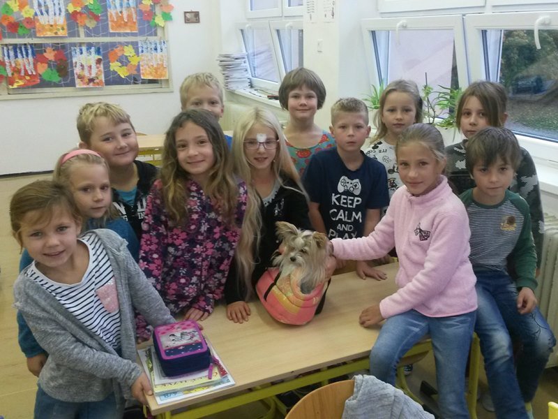 Domácí mazlíčkové ve 2.B