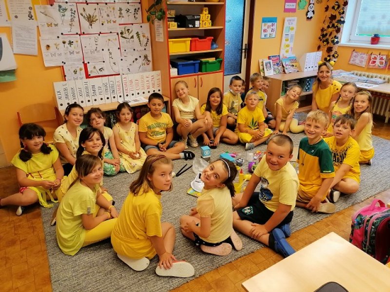 Projektový den