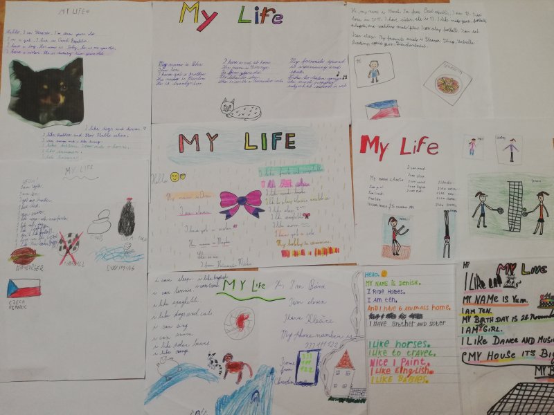 Project- MY LIFE