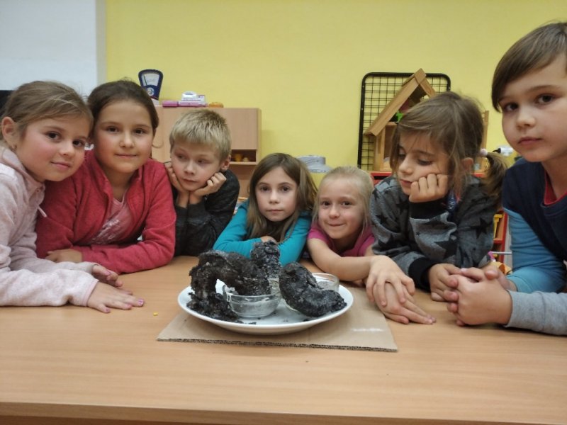 Faraónovi hadi