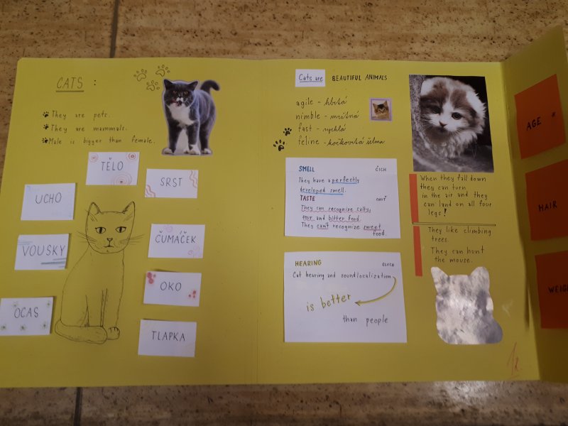 Tvorba LAPBOOKů v Aj