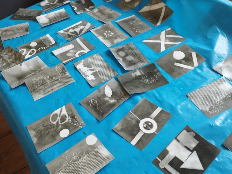 Fotogramy – program ve Východočeské galerii v Pardubicích