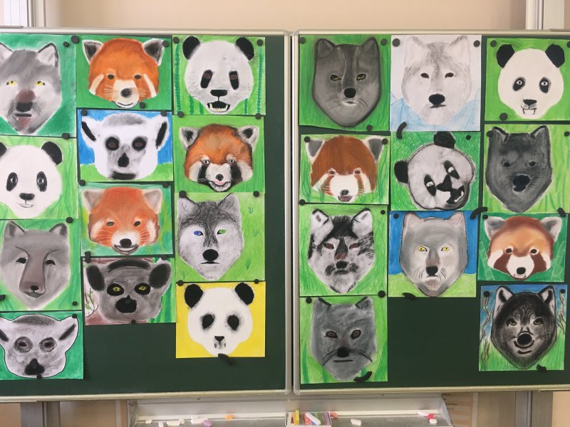 Jak se ze třídy stane zoologická zahrada
