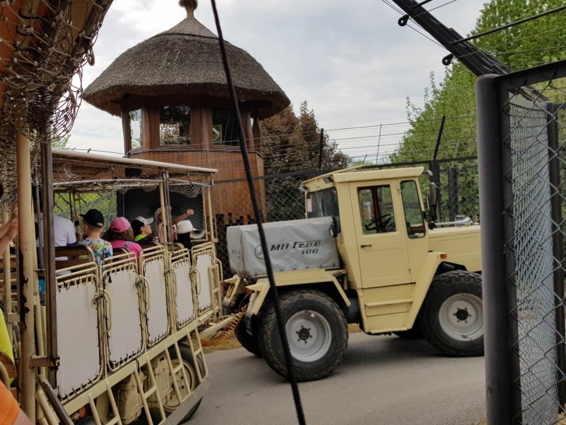 Přidržte si čepice, hop a už jsme v Africe