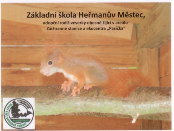 Adopce veverky obecné