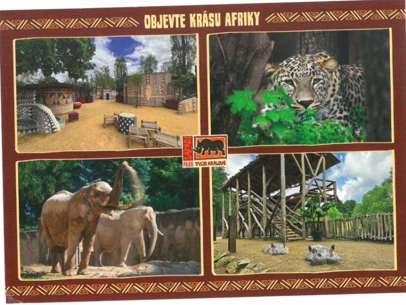 Výlet do zoo ve Dvoře Králové