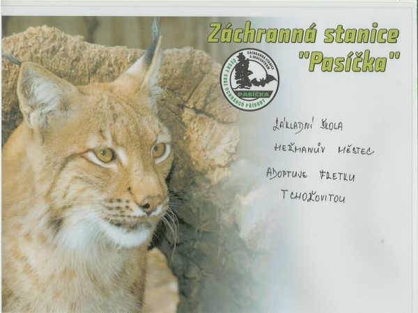 Adopce fretky tchořovité